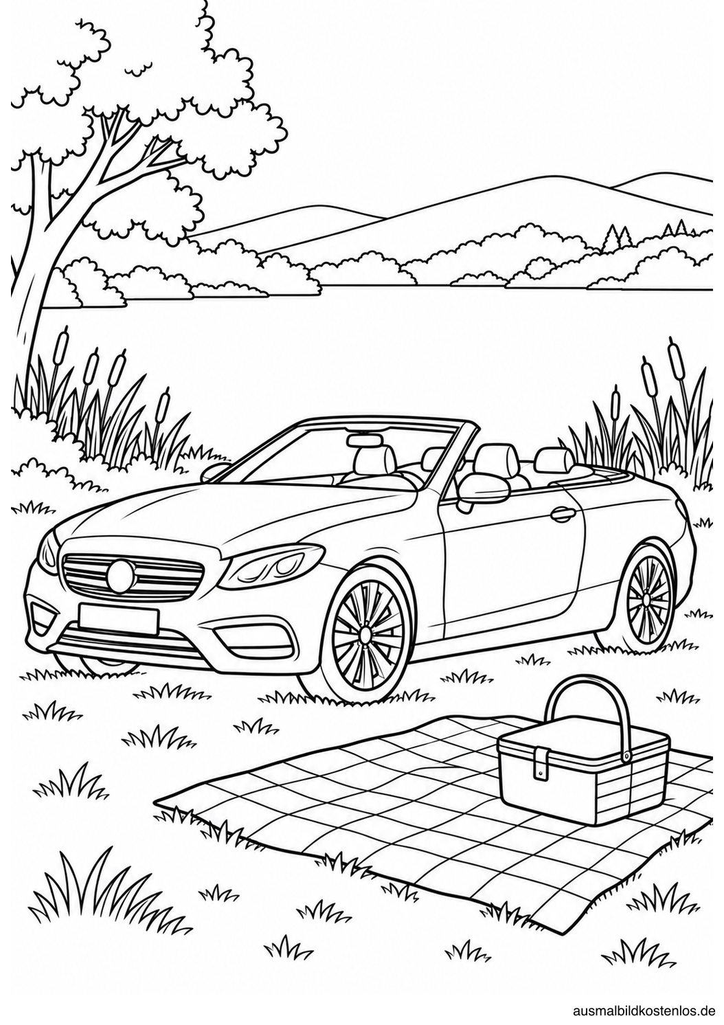 Cabrio mit offenem Verdeck am See, daneben Picknickdecke und Korb, dahinter Schilf und sanfte Hügel.
