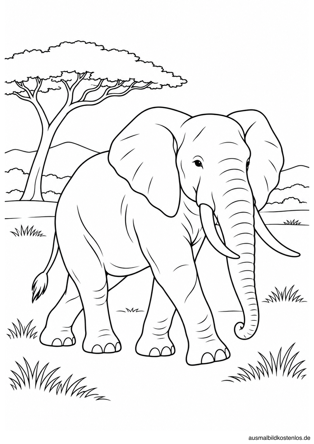 Elefant in einer weiten Savannenlandschaft mit Akazie, niedrigen Hügeln und Grasinseln.