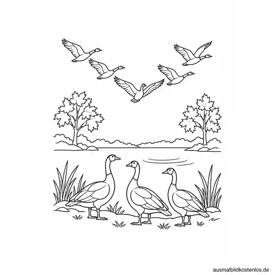 Gänse am See vor ihrer großen Reise