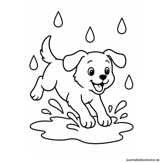 Ein kurzhaariger Hund springt mit den Vorderpfoten in eine Pfütze unter fünf Regentropfen.