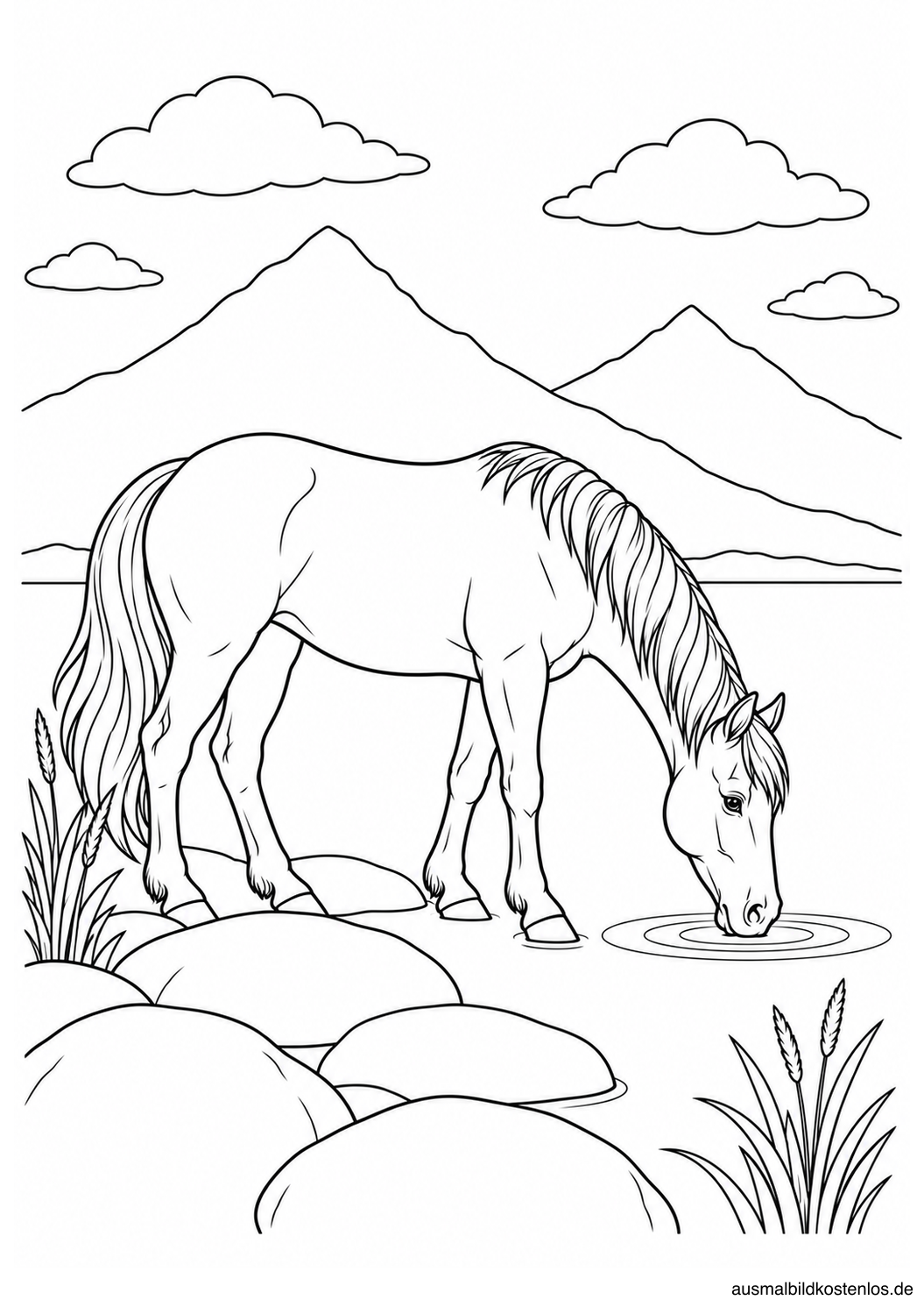 Ein Pferd trinkt am Bergsee zwischen großen Steinen und Schilf; dahinter liegen zwei Berggipfel.