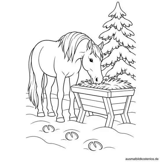 Pferd an der Futterkrippe im Winter