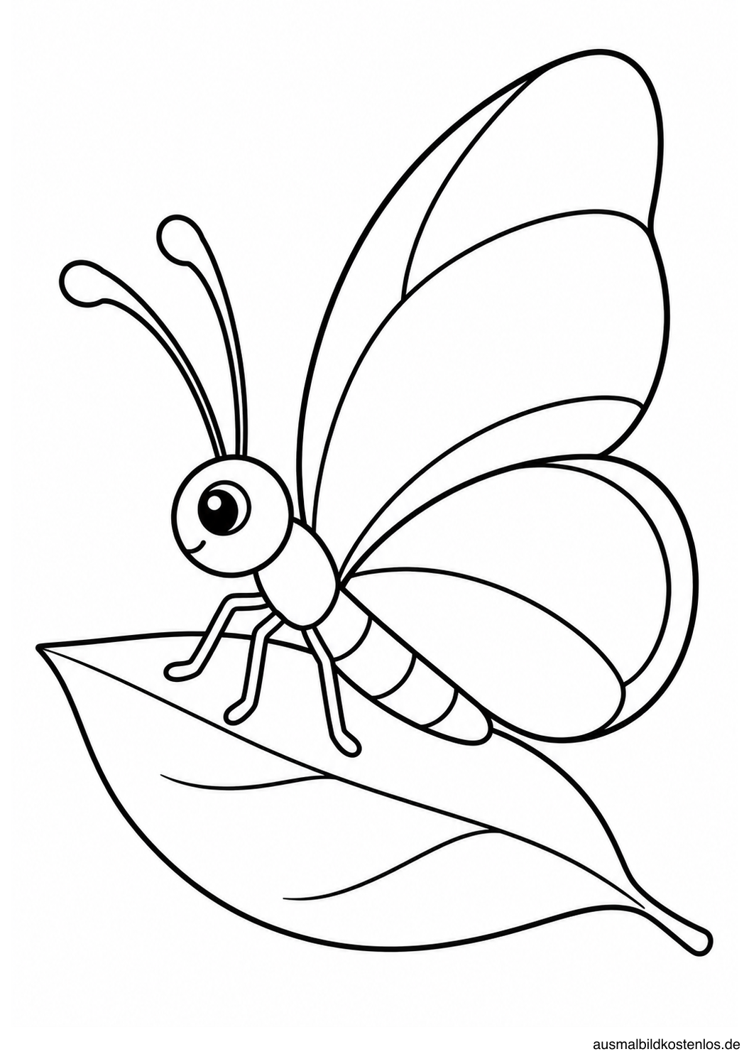 Seitlich sitzender Schmetterling mit aufgerichteten Flügeln auf einem großen Blatt mit wenigen Adern.