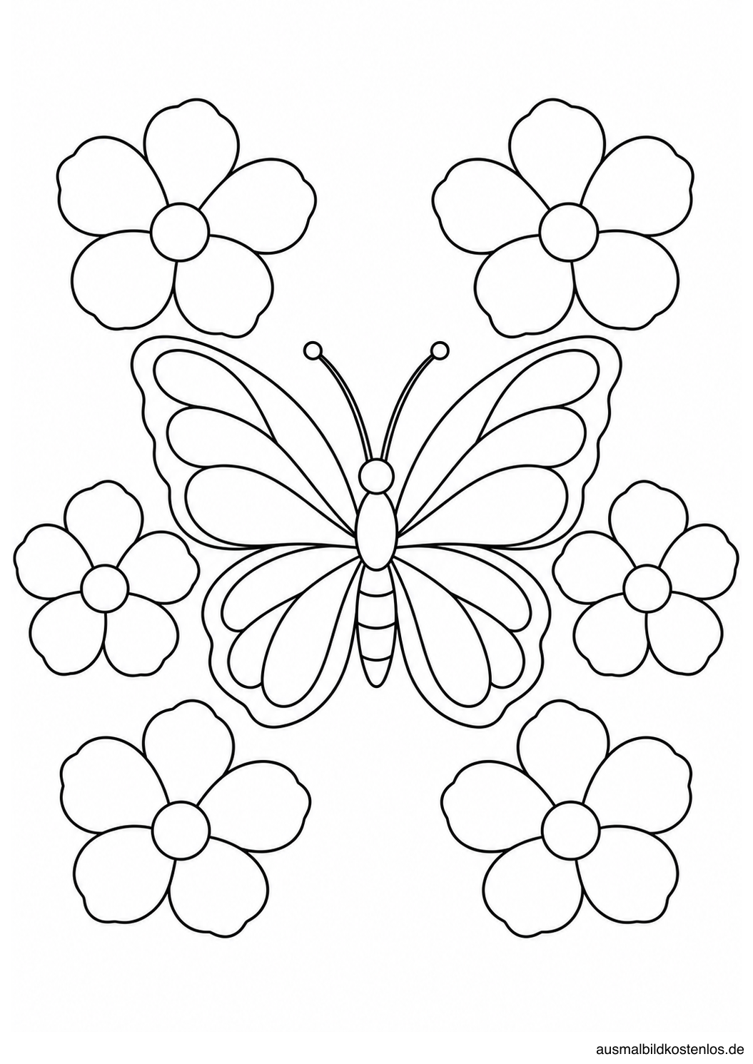 Schmetterling mit breiten Flügelfeldern in einem offenen Kranz aus sechs großen Blüten.