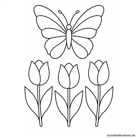 Schmetterling über einem Tulpenbeet