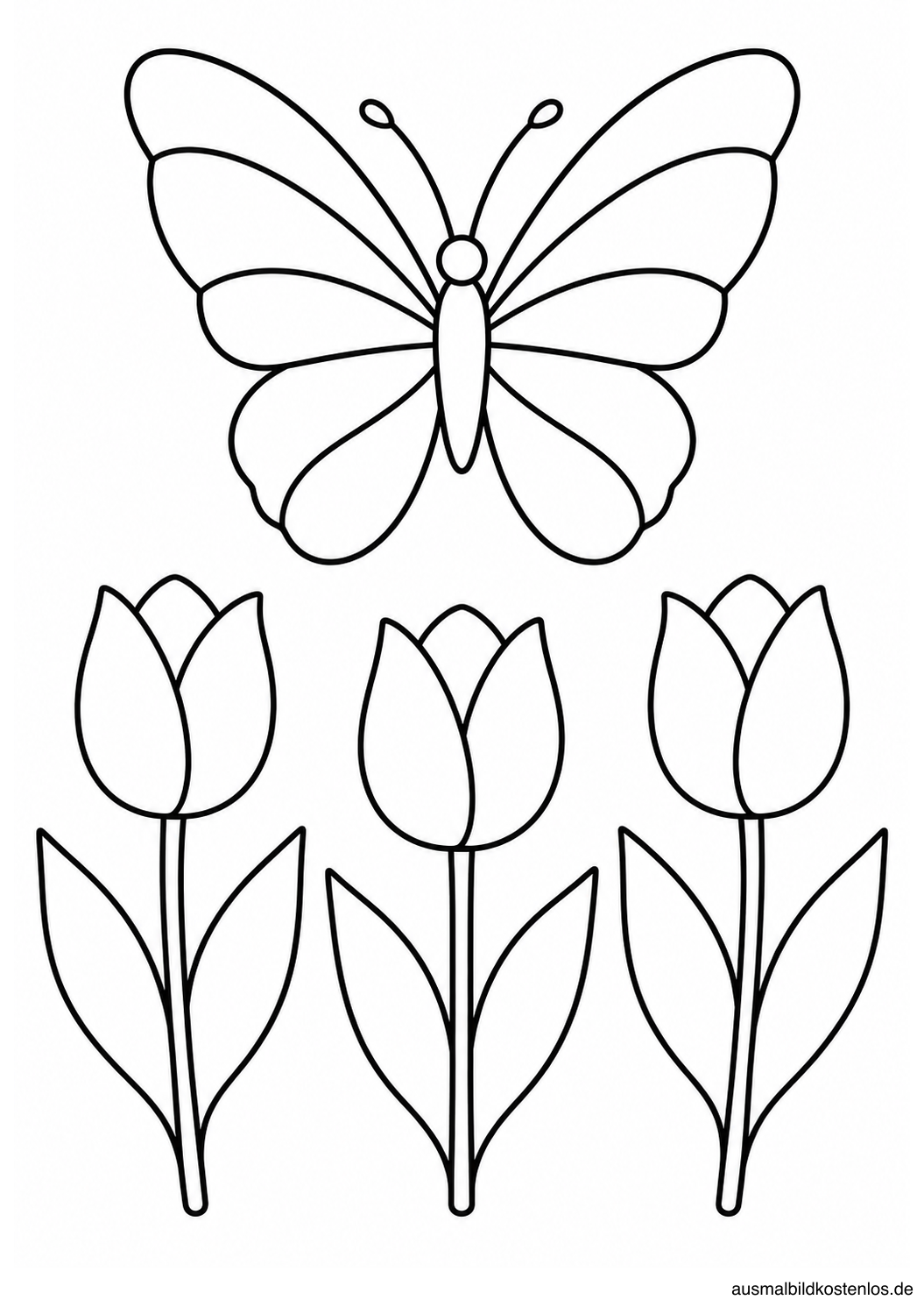 Großer Schmetterling über drei Tulpen mit kräftigen Stängeln und sechs breiten Blättern.